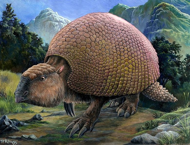 Glyptodon xuất hiện khoảng 3,2 triệu năm trước