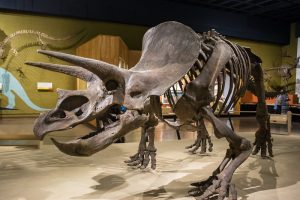 Kỷ Phấn Trắng là gì? Khám phá thời kỳ cuối cùng của loài khủng long