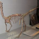 Kỷ Tam Điệp: Thời kỳ khởi đầu của khủng long trên Trái Đất