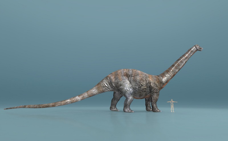 Khủng long Apatosaurus( ảnh 3d minh họa)