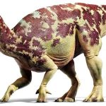 Vì sao khủng long không bị tuyệt chủng vào cuối kỷ Trias?