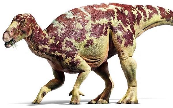 Khủng long ornithischian ăn cỏ 