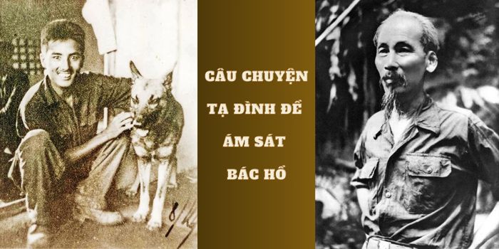 Câu chuyện Tạ Đình Đề ám sát Bác Hồ 