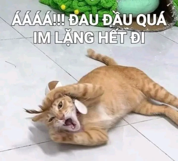 aaa đau đầu quá