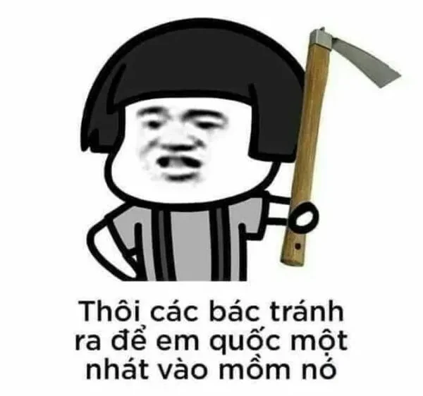 ảnh meme hài hước gấu trúc 