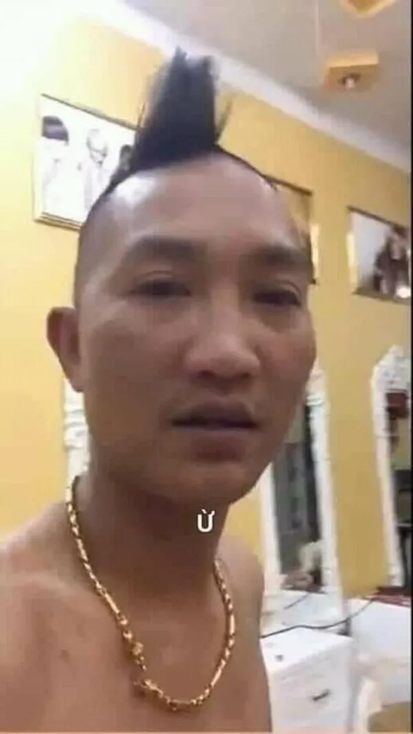 ảnh meme hài hước huấn hoa hồng
