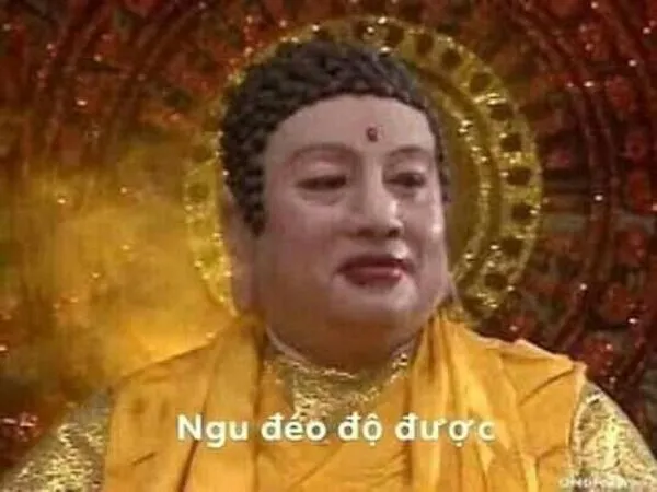 ảnh meme hài hước ngu đéo độ được