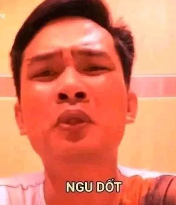 ảnh meme hài hước ngu dốt