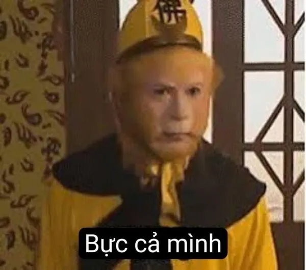ảnh meme hài hước tôn ngộ không
