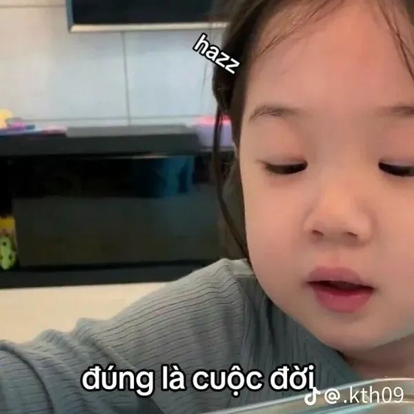 ảnh meme vô tri đúng là cuộc đời
