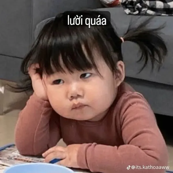 ảnh meme vô tri lười quá