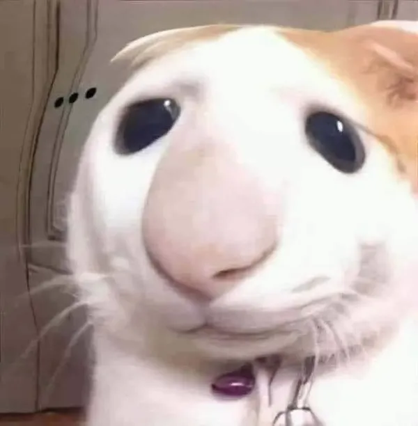ảnh meme vô tri nhất