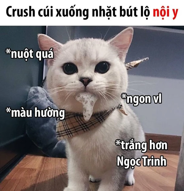 crush cúi xuống nhặt bút lộ nội y