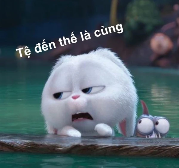 tệ đến thế là cùng