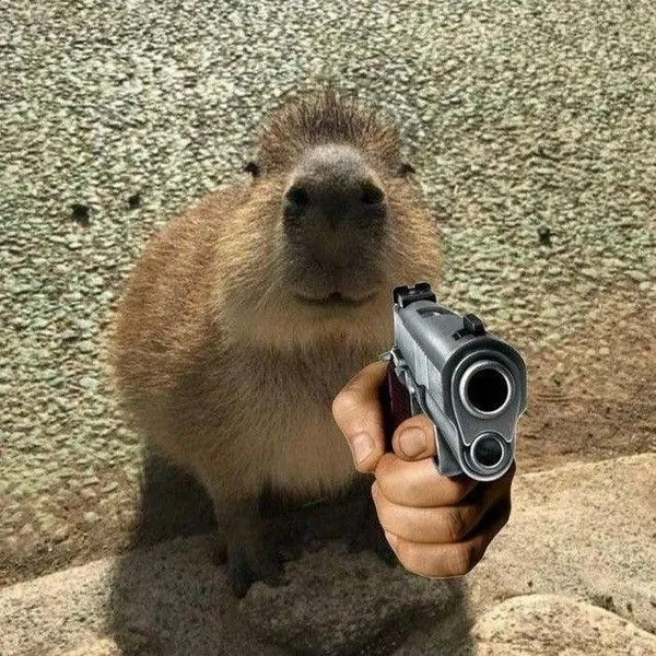 capybara meme cầm súng 