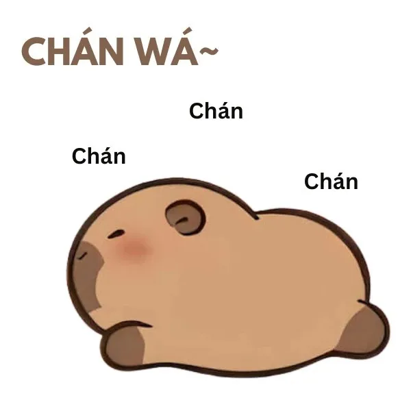 capybara meme chán quá 