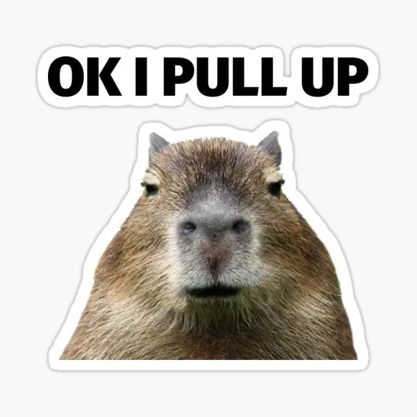 capybara meme ok i pull up 