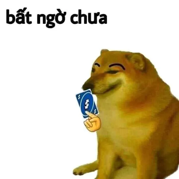 meme bất ngờ cheems 