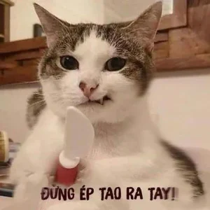 166+ meme cầm dao - Biểu cảm "sát thủ" nhưng lại siêu hài