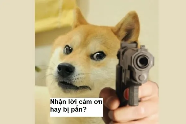 meme cảm ơn cheems 