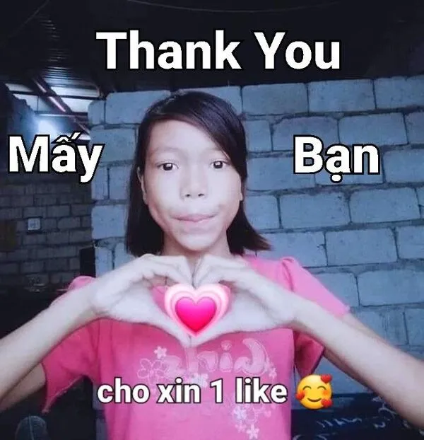 meme cảm ơn cho xin một like 