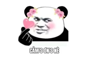 55+ meme cảm ơn siêu hài hước ai cũng muốn lưu ngay