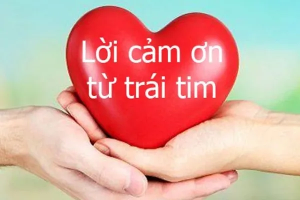 meme cảm ơn trái tim 