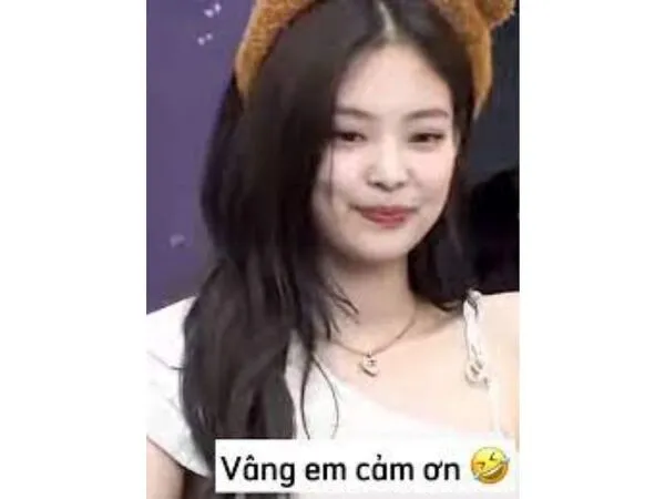 meme cảm ơn 