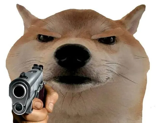 meme cầm súng shiba 