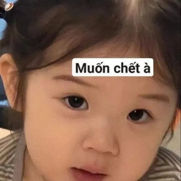 meme em bé muốn chết à 