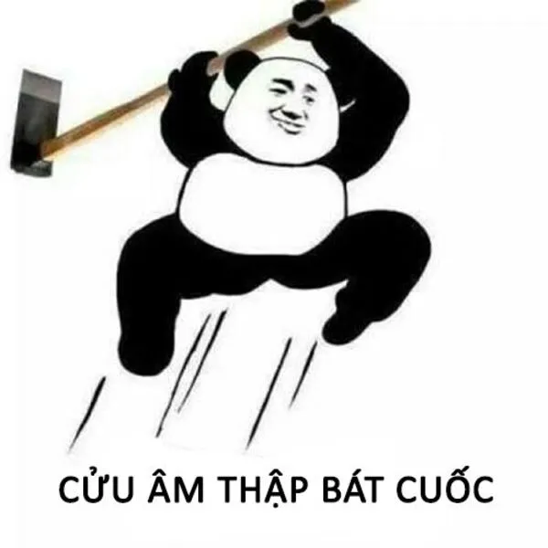 meme gấu trúc cửu âm thập bát quốc 