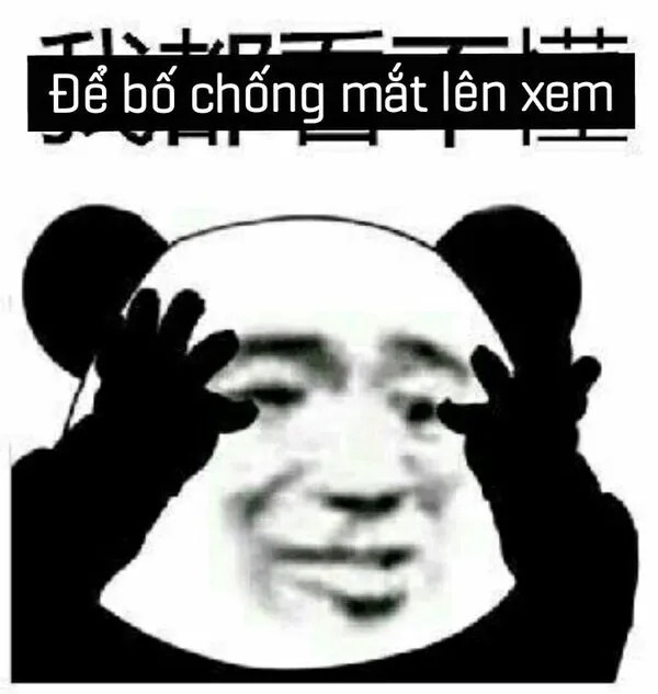 meme gấu trúc để bố chống mắt lên xem 