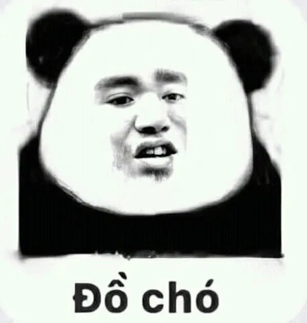 meme gấu trúc đồ chó 