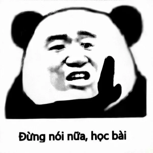 meme gấu trúc đừng nói nữa học bài 