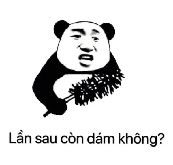 meme gấu trúc lần sau còn dám không 