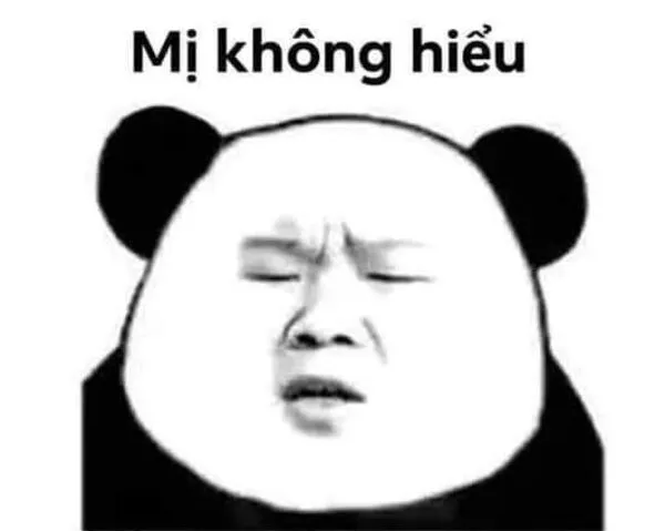 meme gấu trúc mị hiểu không 