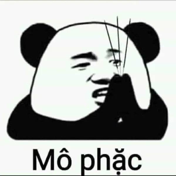 meme gấu trúc mô phặc 