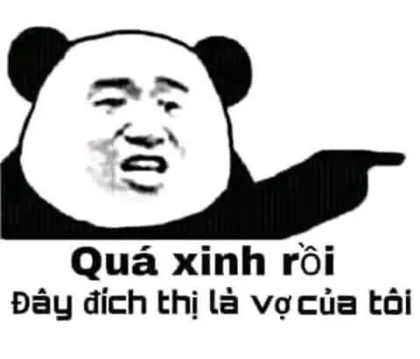 meme gấu trúc quá xinh rồi 