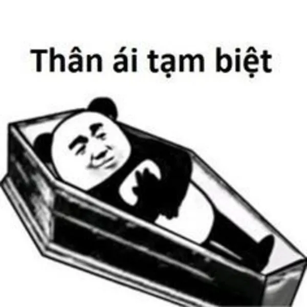 meme gấu trúc thân ái tạm biệt 