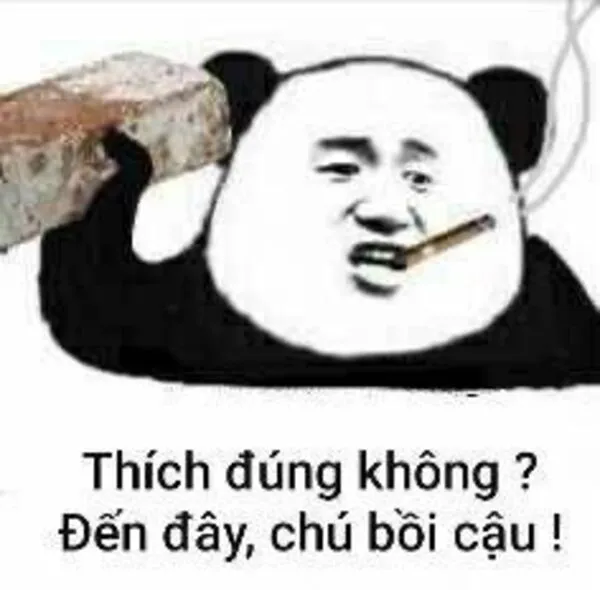 meme gấu trúc 