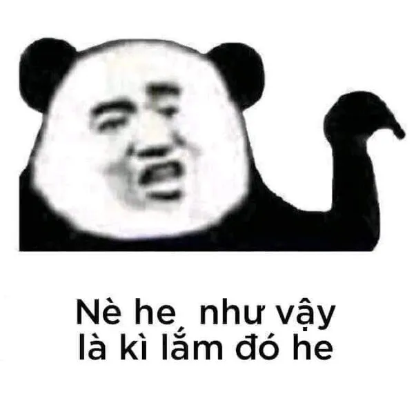 meme gấu trúc 