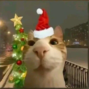 189+ meme Giáng Sinh viral khiến bạn không thể nhịn cười