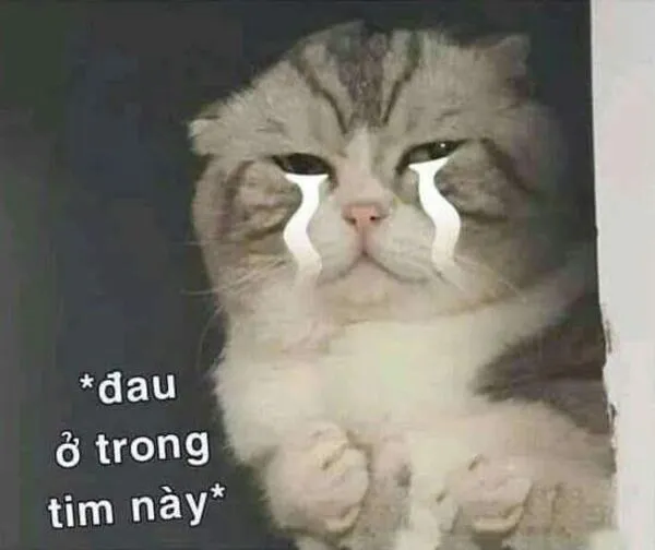 meme khóc đau ở trong tim này