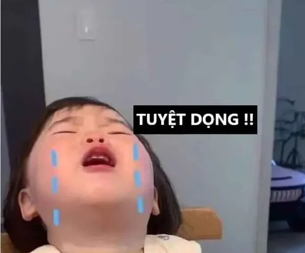 meme khóc tuyệt dọng 