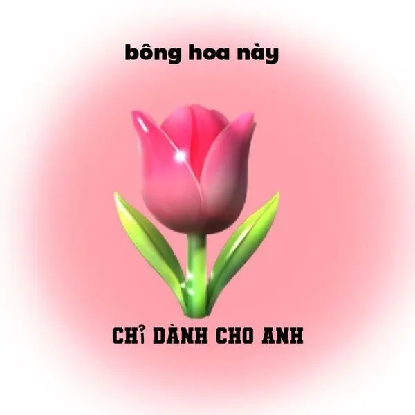 meme tặng hoa chỉ dành cho em 