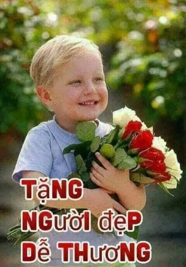 meme tặng hoa người đẹp 