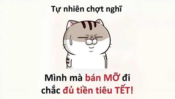 meme tết có chữ 