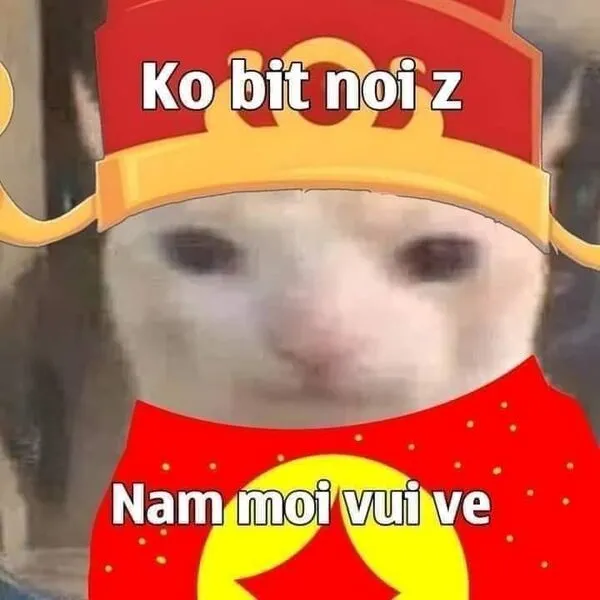 meme tết năm mới vui vẻ 