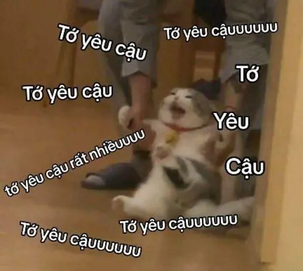 meme tình yêu tớ yêu cậu 