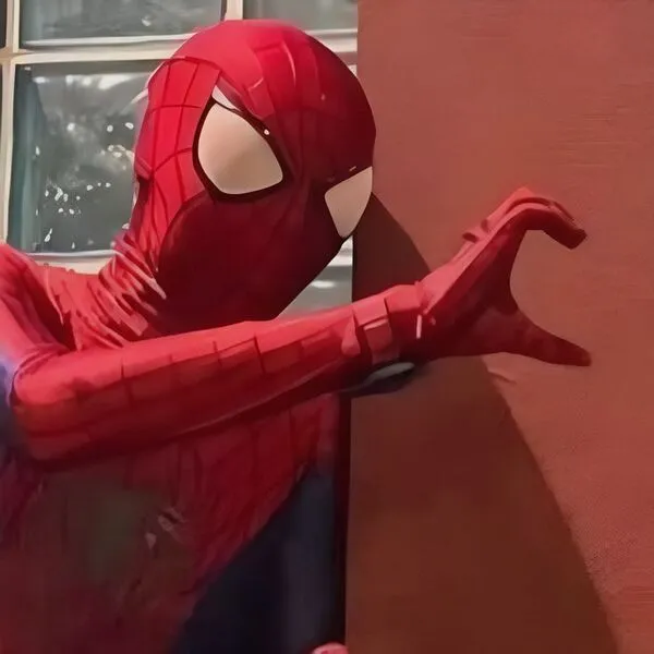 spider man meme 